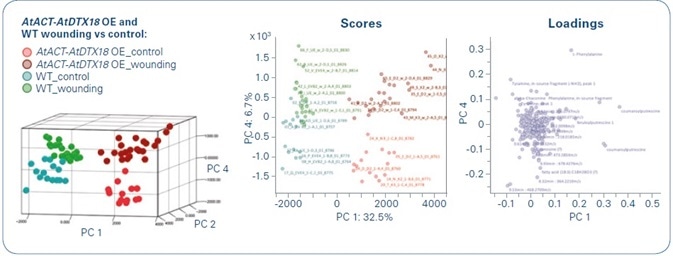 Principal component analysis of wounded and unwounded potato wildtype (WT) and AtACT-AtDTX18 overexpression (OE) lines.