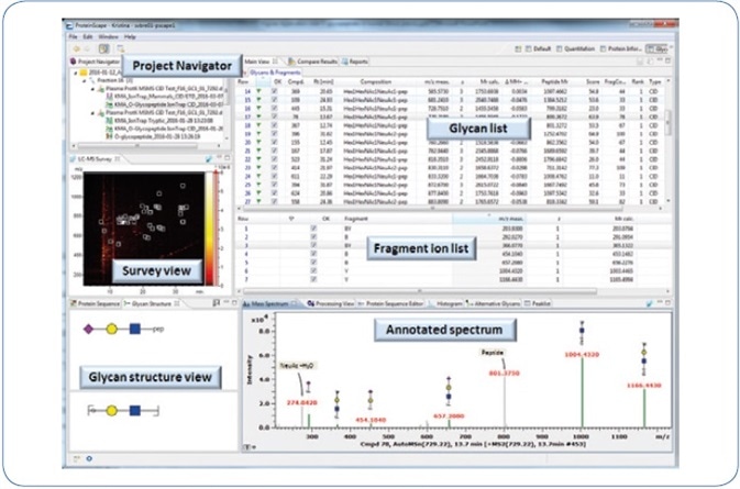 ProteinScape 4.0: GlycoQuest search results of human blood plasma O-glycopeptides.