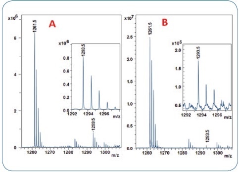 MALDI-TOF analysis of 2 human IgG1 antibody digests using the 10% acetonitrile ZipTip fraction for trisulfide quantitation. A: IgG1 (Pfizer) with 9.5% TSB-peptide content (from Figure2) B: adalimumab with only 0.65 % of TSB-peptide.
