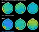 Evidence of magnetoreception in humans suggests subconscious ability to respond to Earth’s magnetic field