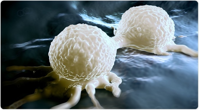Dividing breast cancer cell. Image Credit: Shutterstock
