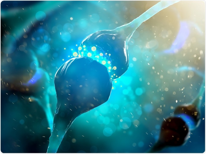 EC-MS is a popular technique in the field of drug discovery, but is now being applied to the study of neurotransmission.