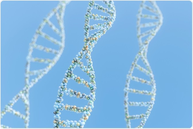 The history of DNA started as early as 5000 BC, when humans began the practice of selective breeding to produce more robust crops and livestock.