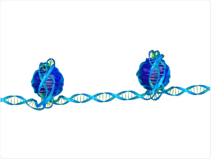 Synthetic epigenetics is an upcoming field of biology.