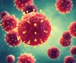 Scientists studying vaccinia virus, a relative of smallpox, have determined that a gene necessary for virus replication also has a key role in turning off inflammation