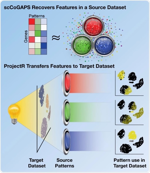 Researchers develop new artificial intelligence tools to find cell’s true identity