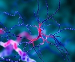 Research yields new epilepsy guidelines