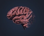 New Theory About Alzheimer's Disease