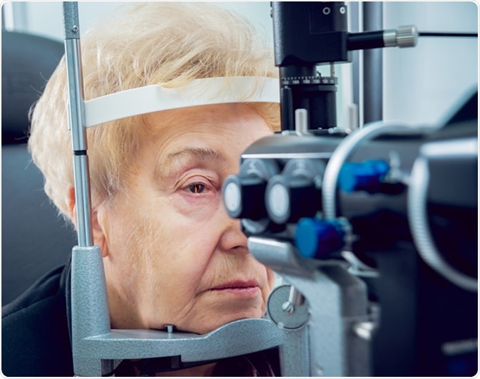 Image Credit: Romaset / Shutterstock