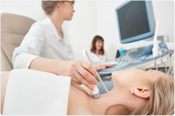 Image Credit: Serhii Bobyk / Shutterstock