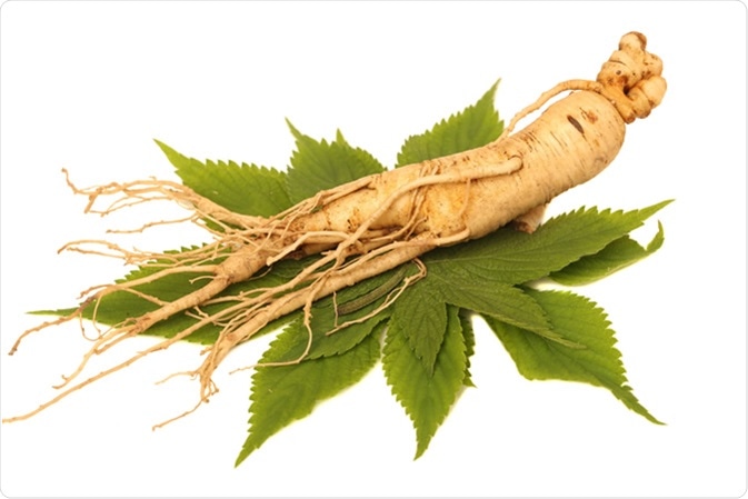 Ginseng: Tapering root with variable number of lateral roots, 2-12 inches long, tan to reddish brown. Image Credit: cdfa.ca.gov