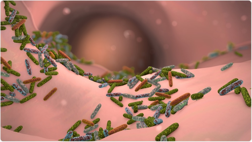 A study published this week reveals that the interactions of bacteria in our gut (the gut microbiome) with the food we eat differ markedly between individuals.