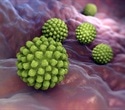 Study uncovers key role of NSP4 in rotavirus disease severity