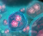 Novel cell division mechanism discovered in early embryonic development