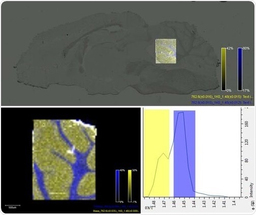 TIMS removes isobaric interferences in lipid imaging. Blue: m/z 762.6 +/-0.016; mob. 1.45 +/- 0.012 Yellow: m/z 762.6 +/-0.016; mob. 1.48 +/- 0.015