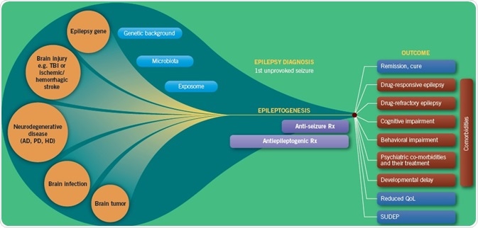 Triggers of epileptogenesis can lead to a number of different outcomes and comorbitites (QoL = quality-of-life; SUDEP = sudden unexpected death; Rx = treatment).
