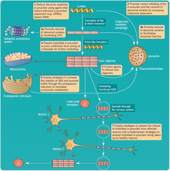 α-synuclein aggregation and pathology as a therapeutic target in PD