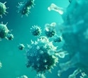 Study uncovers how a specific immune cell may contribute to HIV persistence