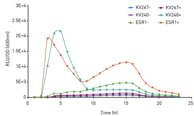 Normalized bioluminescence of V. fi scheri strains. Bacteria were either supplemented with exogenous HSL (+) or not (-). Insert shows growth curves