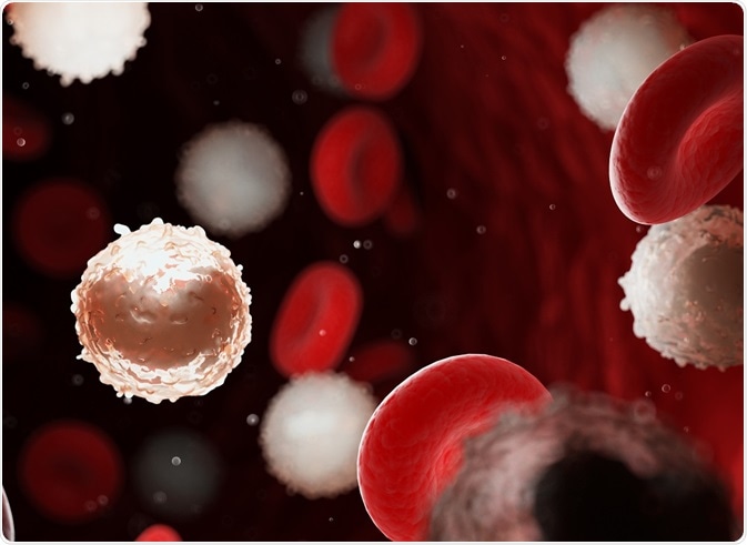 Low abundance cells in the blood stream