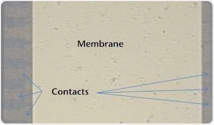 Microscope shot of the highfrequency ultrasonic sensor with a 1 mm thick layer of water and a cover glass.