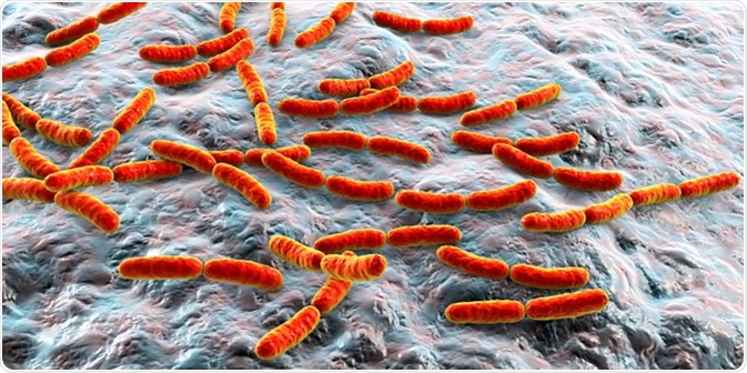 Bacteria Lactobacillus, 3D illustration. Image Credit: Kateryna Kon / Shutterstock