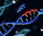 Scientists discover rare genetic variants associated with epilepsy in large-scale study