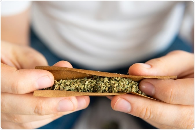 Image Credit: Lifestyle discover / Shutterstock