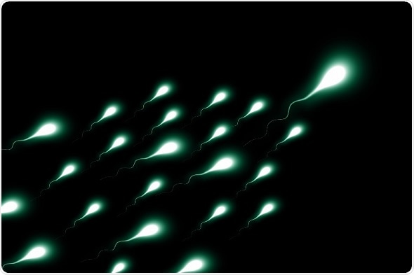 Simple technique to choose the sex of offspring by separating X and Y sperm