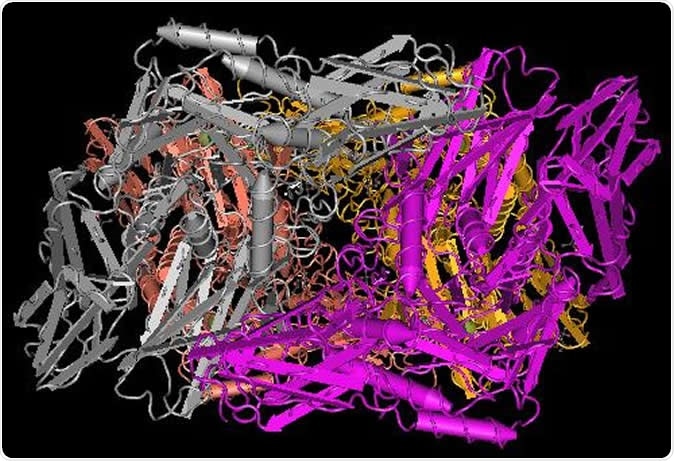 Crystal structure of putative beta-galactosidase from Bacteroides fragilis. Image Credit: National Institutes of Health