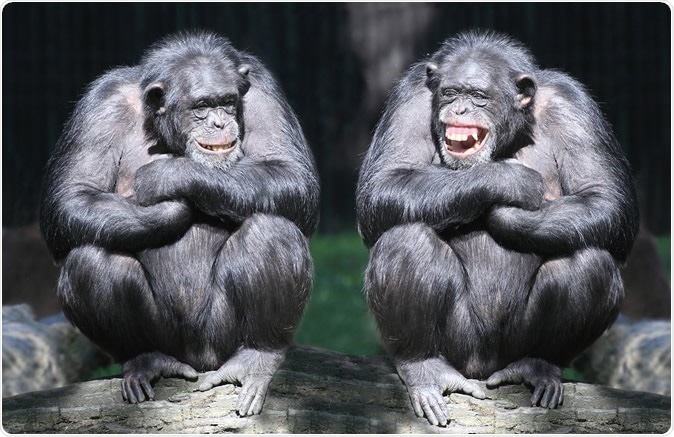 Image Credit: Kletr / Shutterstock