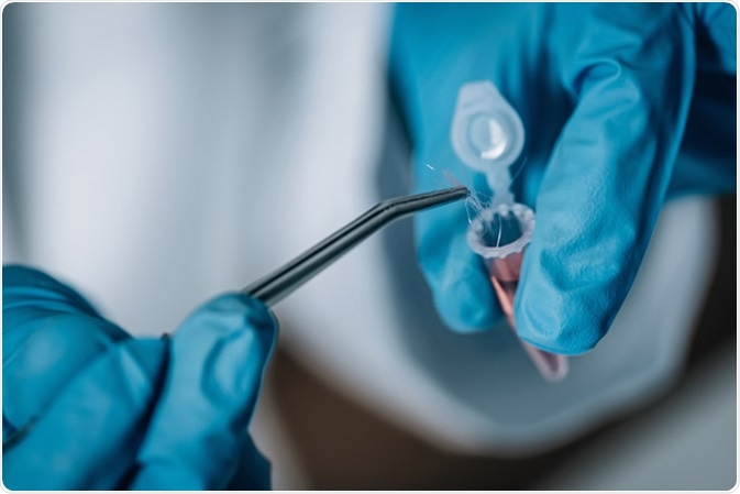 Forensic Science in Lab. Image Credit: Microgen / Shutterstock