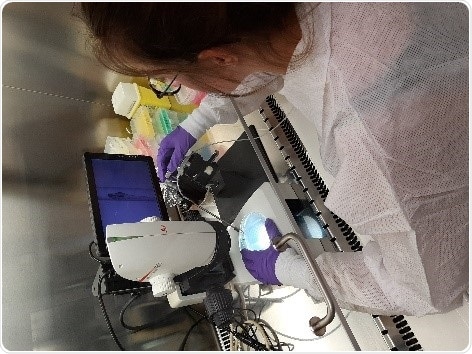 Robust replication model of human noroviruses may pave way for effective therapeutics