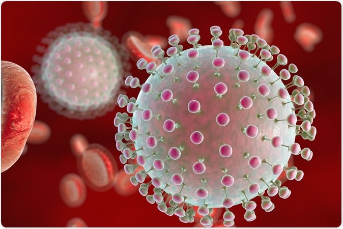 Zika virus in blood with red blood cells, a virus which causes Zika fever found in Brazil and other tropical countries. Image Credit: Kateryna Kon / Shutterstock