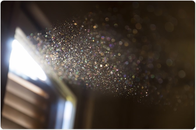 Image Credit: Struvictory / Shutterstock