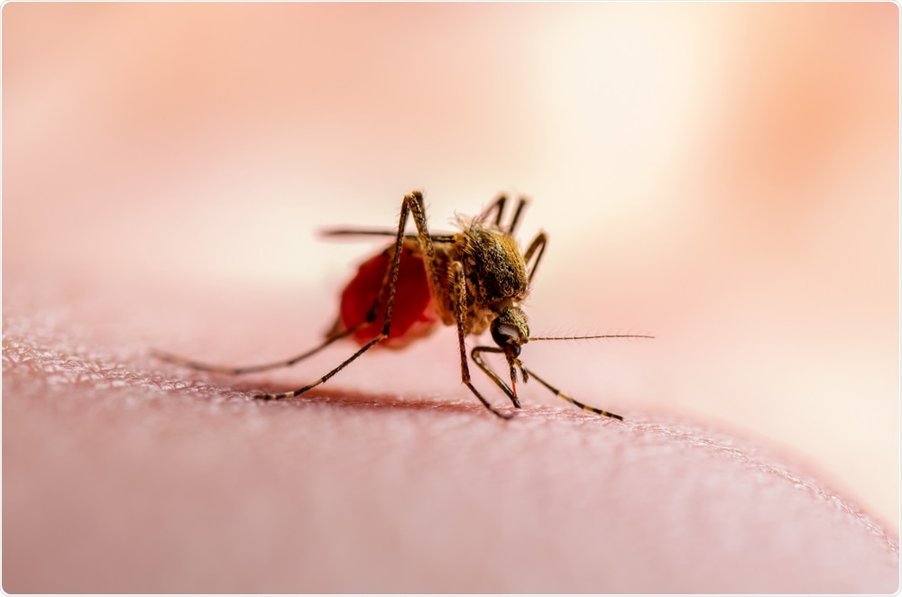 Malaria