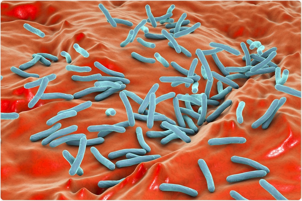 Mycobacterium tuberculosis (TB)