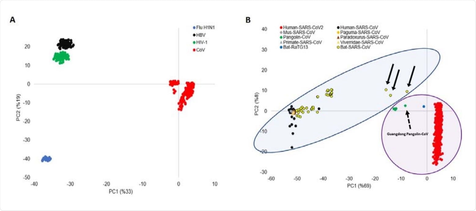 PCA of viral motifs representations. D-values of all dinucleotide and trinucleotide motifs in all viral sequences form a matrix, which is used as an input for PCA. (A) PC1-PC2 plot shows four clusters, one for each virus family: H1N1, SARS-CoV, HBV, and HIV-1. (B) PC1-PC2 plot classifies SARS-CoV viruses into two clusters. SARS-COV-2, Bat-RaTG13, and Pangolin-CoV formed a cluster (SARS-CoV-2-like group), which is separated from the rest of coronavirus sequences Human-SARS-CoV, Paguma-SARS-CoV, Viverridae-SARS-CoV, Paradoxurus-SARS-CoV, Bat-SARS-CoV, Mus-SARS-CoV and Primate-SARS-CoV (SARS-CoV group). SARS-CoV-2-like and SARS-CoV groups are highlighted with purple and blue circles. The three Bat-SARS-CoV sequences are located close to the SARS-CoV-2-like group, which is shown by black arrows. Guangdong Pangolin-CoV is shown by a broken arrow.