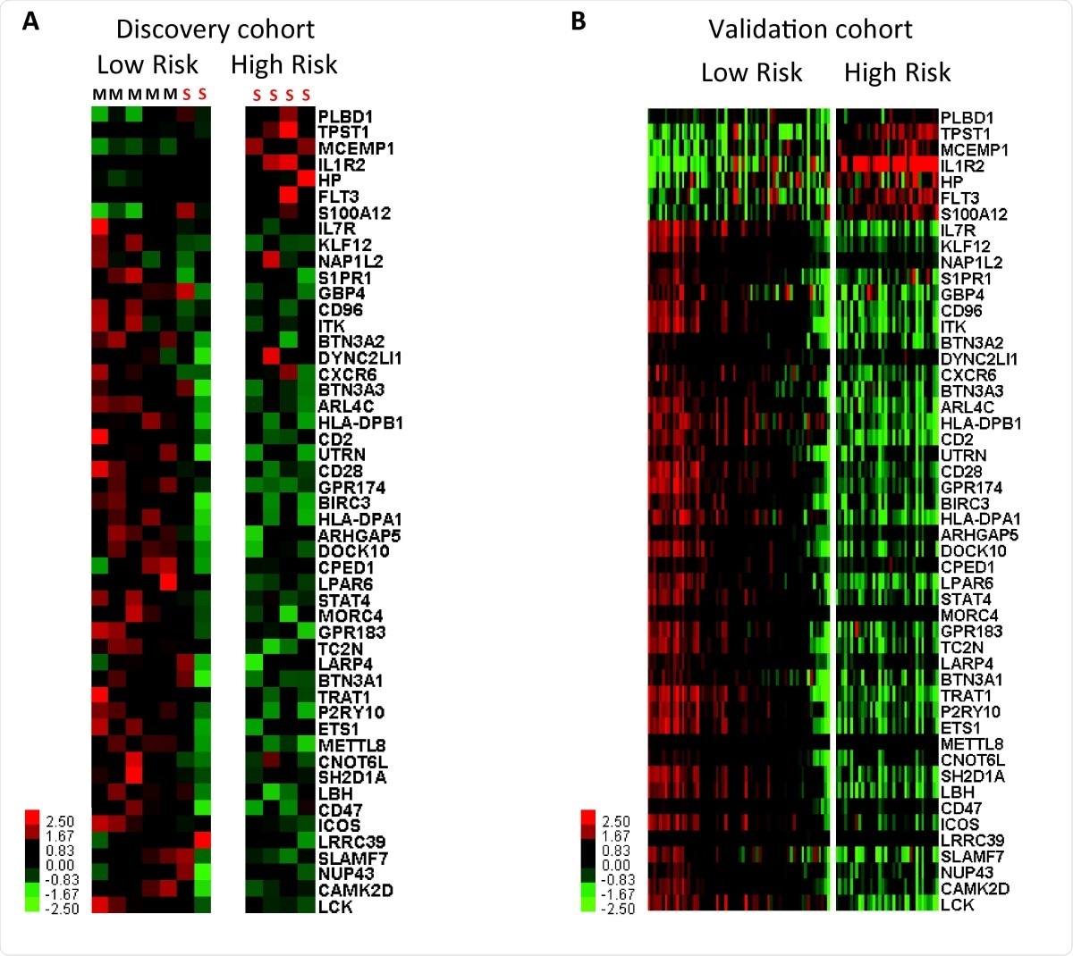 Genomic risk profiles based on the 50-gene signature are predictive of poor outcomes in SARSCoV- 2. Clustering of SARS-CoV-2 infected individuals based on genomic risk profiles (high vs low) derived from the 50-gene signature using SAMS in discovery (A) and validation cohorts (B). Every column represents a subject and every row represents a gene. Log-based two color scale is shown next to heatmaps; red denotes increase expression over the geometric mean of samples and green, decrease.