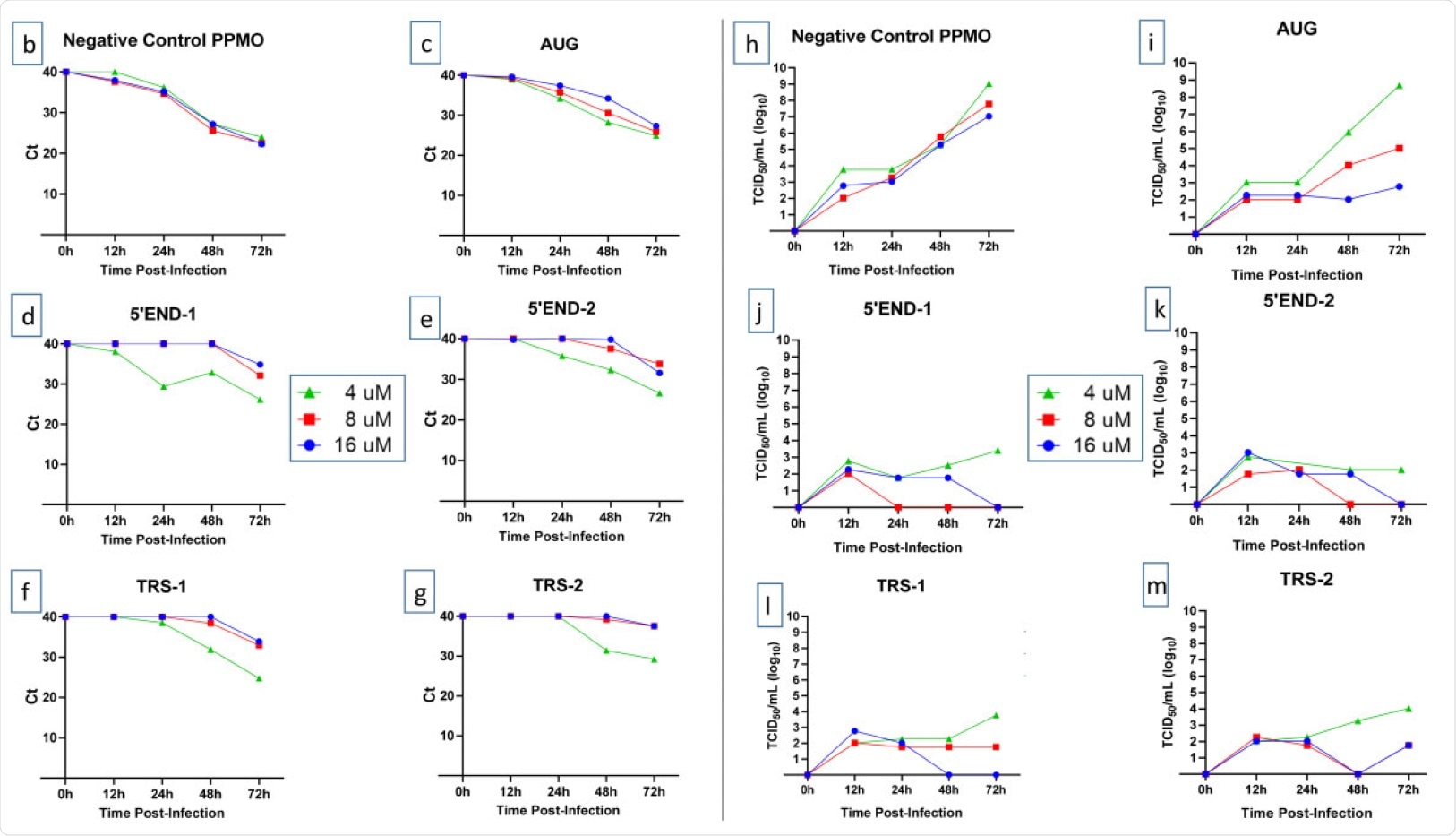 Effect of PPMO on cell viability and SARS-CoV-2 growth. (a) Evaluation of the effect of PPMO treatment on cellular ATP level, as an indicator of cell viability, was carried out using uninfected cells incubated for 48 h with increasing concentrations of the indicated PPMO. ATP levels were determined via luminescence readings and are shown compared with PBS-treated cells. For each PPMO concentration, triplicate samples were assayed and the mean±SD is shown. (b–m) Growth curves of SARS-CoV-2. Vero-E6 cells were treated with the indicated concentration of PPMO for 5 h before infection with SARS-CoV-2 (moi of 0.01), then incubated without PPMO after infection. Cell supernatants were collected at 12, 24, 48 and 72 h post-infection and analysed by qRT–PCR (b–g) or TCID50/mL endpoint dilution (h–m) using three technical repeats. Cells treated with PBS had titres similar to those shown for NC PPMO. The limit of virus detection for the TCID50 assay was 101/mL. This experiment was carried out twice, under similar conditions, yielding similar results, and the results from a single experiment are shown. This figure appears in colour in the online version of JAC and in black and white in the print version of JAC.