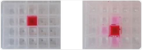 0.5 and 0.75 mL volumes mixed in a 1-mL/well nominal volume square collection plate (Vortex Genie, setting 3) showing potential cross-contamination when maximum fill volume is exceeded.