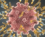 SARS-CoV-2 immunity can last over six months, study finds