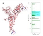 Distant residues modulate the conformational opening in SARS-CoV-2 spike protein