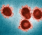Scientists reconstruct bat variant of SARS coronavirus