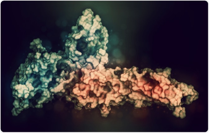 immune checkpoint inhibitors