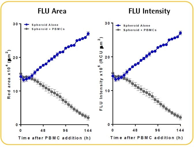 96-well 3D immune cell killing assay workflow