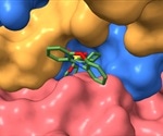Activating a braking mechanism against cancer
