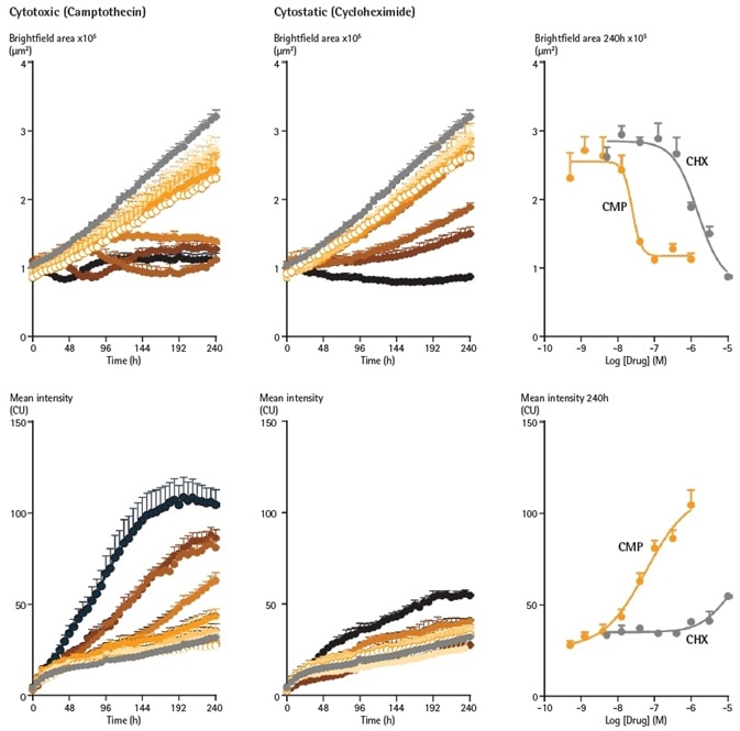Cytotoxic and cytostatic mechanisms of action can be differentiated by measuring spheroid size and viability. SKOV3 cells were plated at a density of 2,500 cells per well and spheroid allowed to form (96 h). Spheroids were treated with increasing concentrations of camptothecin (0.5 nM – 1 µM) or cycloheximide (1.4 nM – 10 µM) in the presence of Cytotox Green reagent (25 nM). Images were taken every 6 h for 10 days. Time courses show change in Brightfield area (top row) or fluorescent response (bottom row) over time. CRCs show the different profiles of cytotoxic and cytostatic mechanisms.