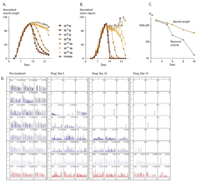 Measurements of neuronal structure vs. function. Rat cortical neurons seeded at 30K cells/well were co-cultured with rat astrocytes seeded at 15K cells/well and transduced with NeuroBurst Orange or NeuroLight Orange at day 3 in culture. Live-cell analysis measurements were made each day using IncuCyte S3 for Neuroscience. After 11 days, neural networks had fully formed and stabilized. Taxol or vehicle control was then added, and cultures were monitored for an additional 11 days. Time-courses of neurite development (A) and neuronal activity (B) prior to, and after the addition of, control or increasing concentrations of Taxol are shown. Potency (IC50 values) plotted against time post-treatment for neuronal activity (grey) and neurite length (orange) (C). Data is expressed as % neurite length or active object count, normalized to the pre-treatment value. Data points represent Mean ± SEM. Neuronal activity summary traces at pre-treatment and at 5, 10- and 15-days post-treatment display decreased activity levels over the course of the experiment (D).