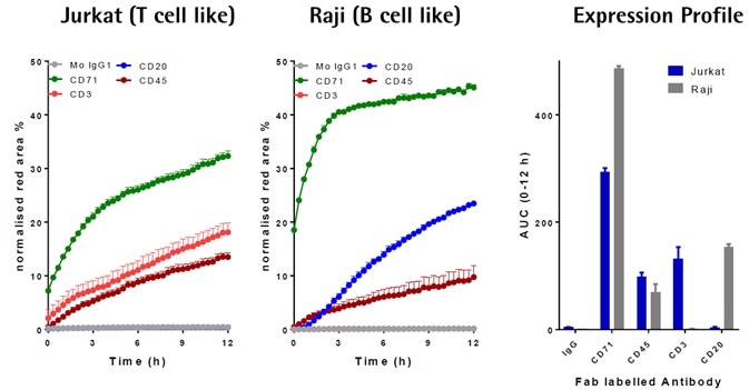 Cancer Drug Discovery Antibody Internalization Assays